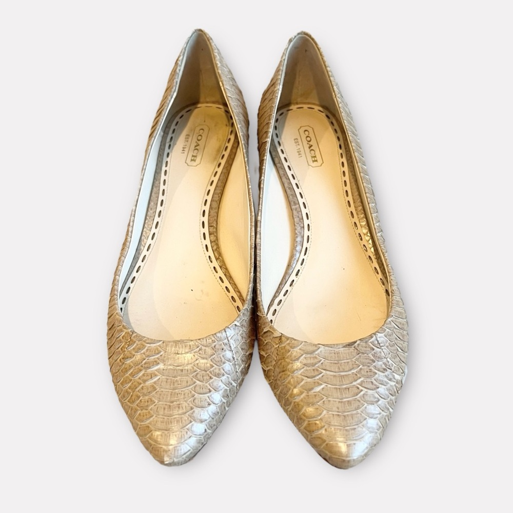 Coach Bekka Snakeskin Leather Pointed Toe Kitten Heels Sz 8.5 - Picture 2 of 9